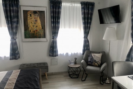 Living room / bedroom
