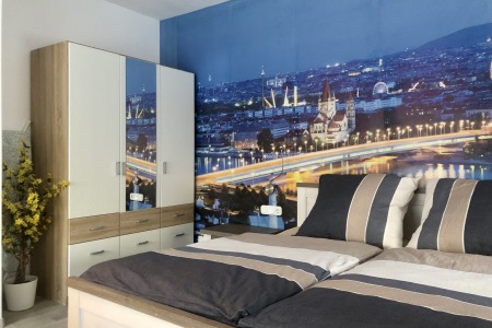 Living room / bedroom