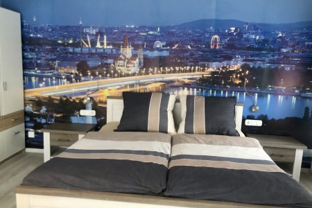 Living room / bedroom