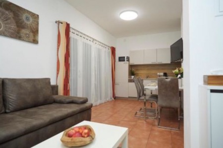 Living room and kitchen